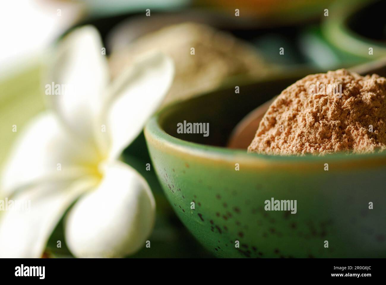 Détail du spa de l'Amandari Resort, vallée de Yeh Agung, Bali, Indonésie, Asie Banque D'Images