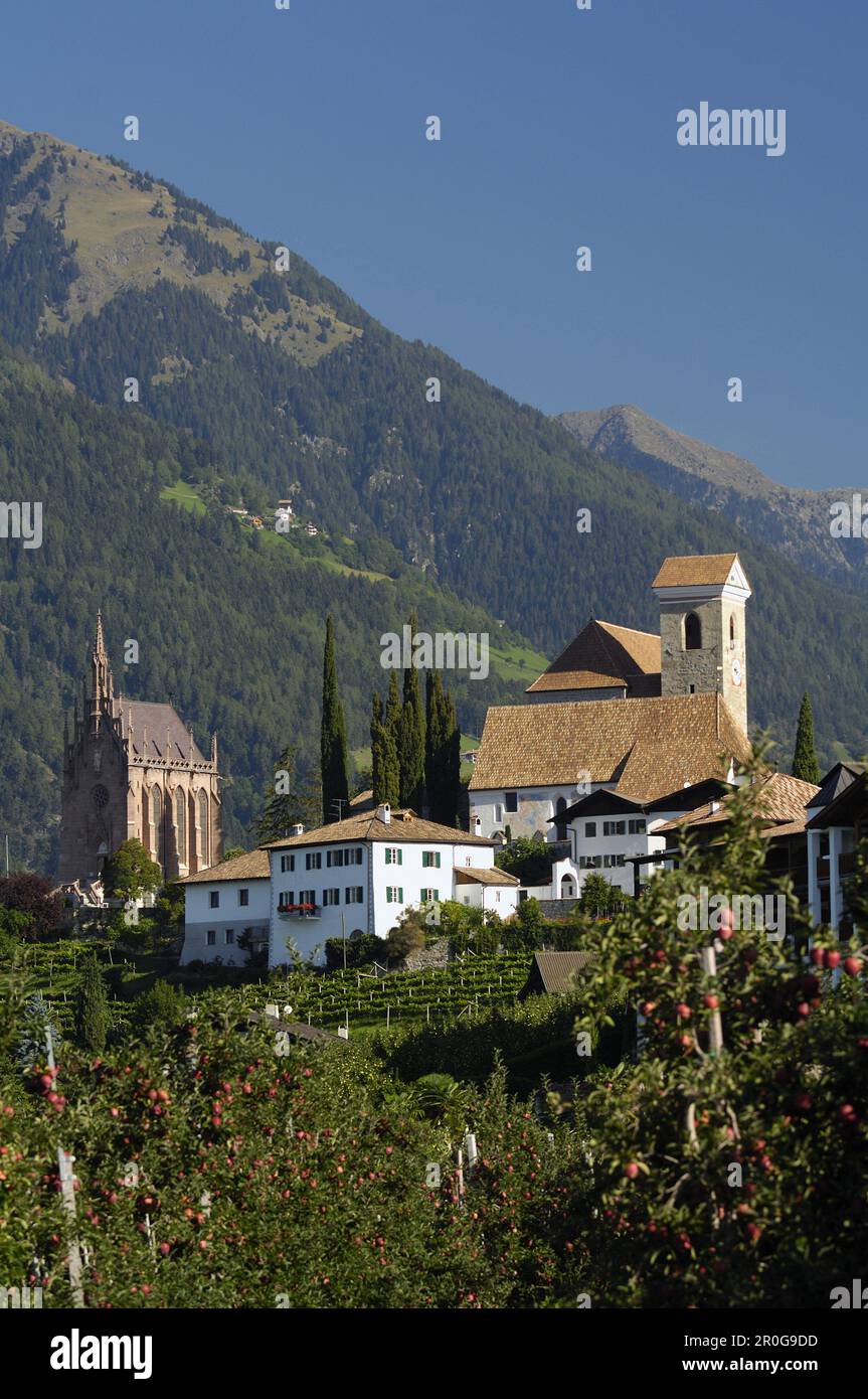 Vue sur Schenna avec la nouvelle église paroissiale, Schenna, Trentin-Haut-Adige/Südtirol, Italie Banque D'Images