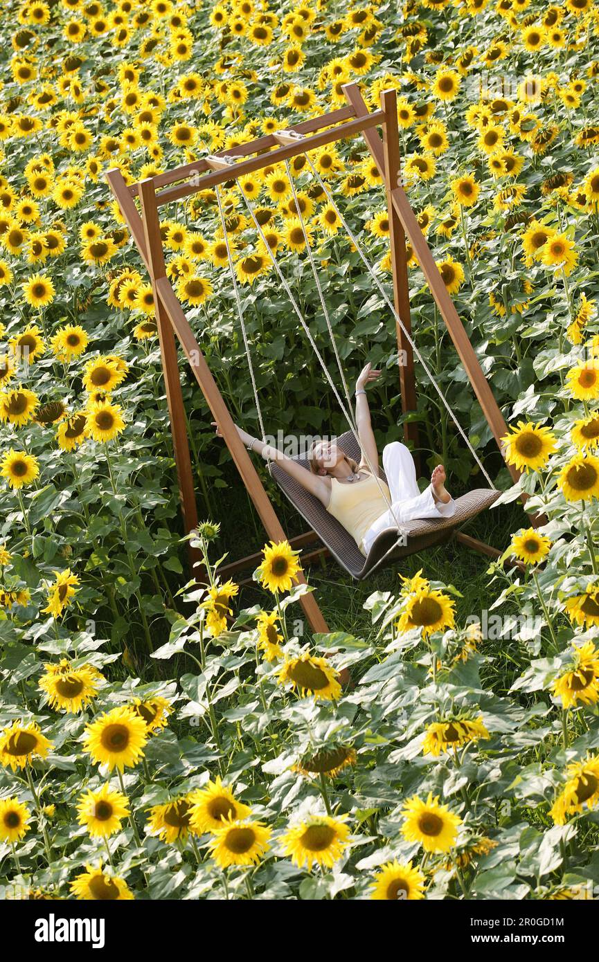 Jeune femme assise sur une balançoire dans un champ plein de tournesols, Bavière, Allemagne Banque D'Images