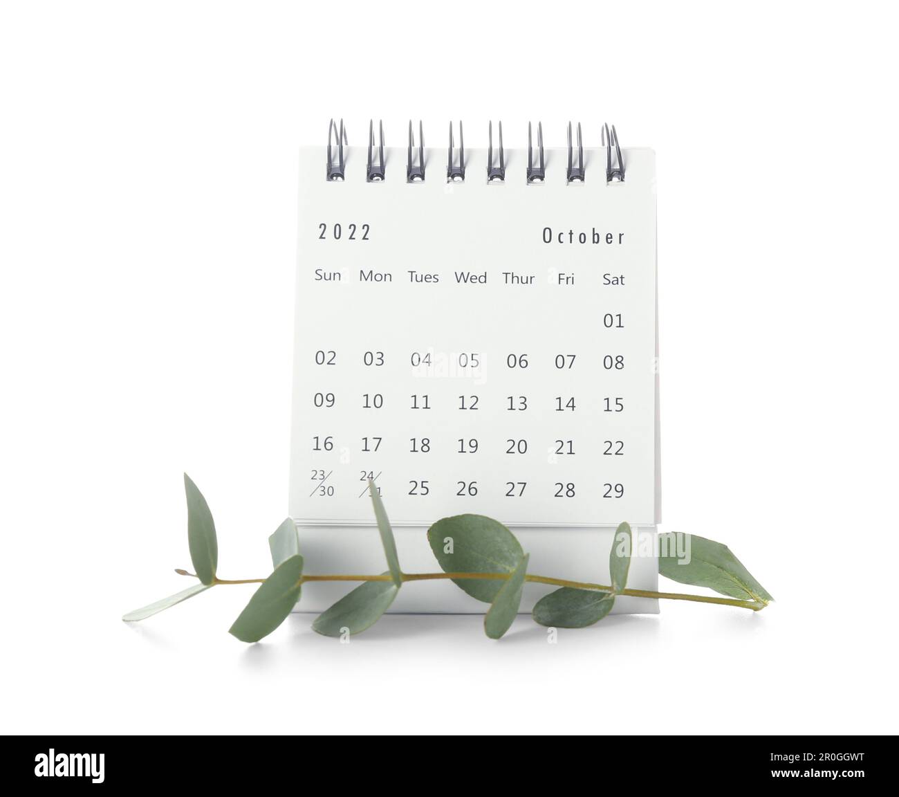 Calendrier papier pour octobre et branche d'eucalyptus sur fond blanc Banque D'Images