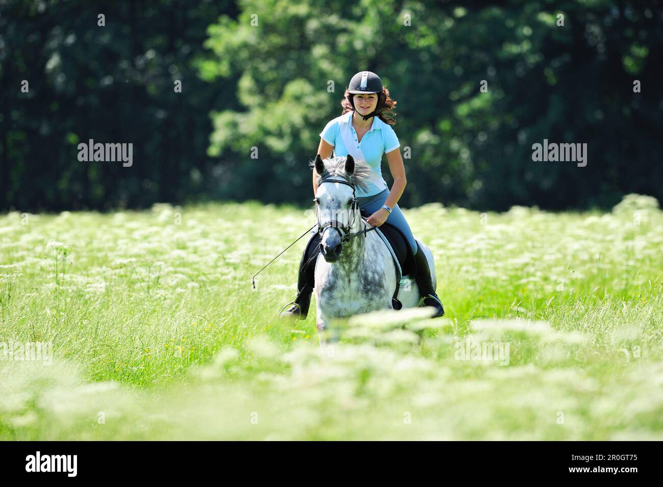Woman riding a cheval dans un pré, vallée de l'Inn, Upper Bavaria, Bavaria, Germany Banque D'Images