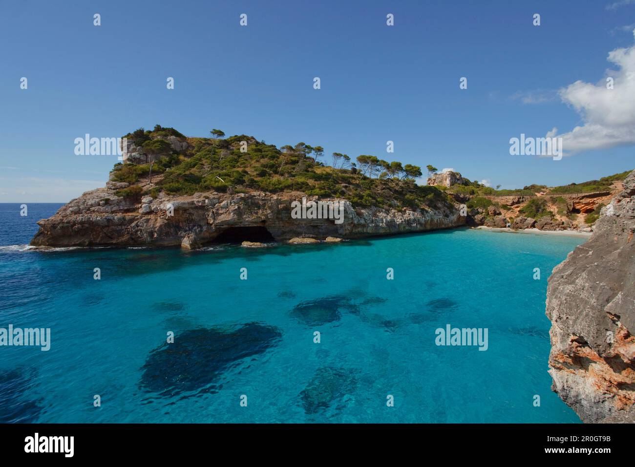 Calo d'es Moro, à proximité de Cala S'ammoniaque, près de Santanyi, Majorque, Iles Baléares, Espagne, Europe Banque D'Images