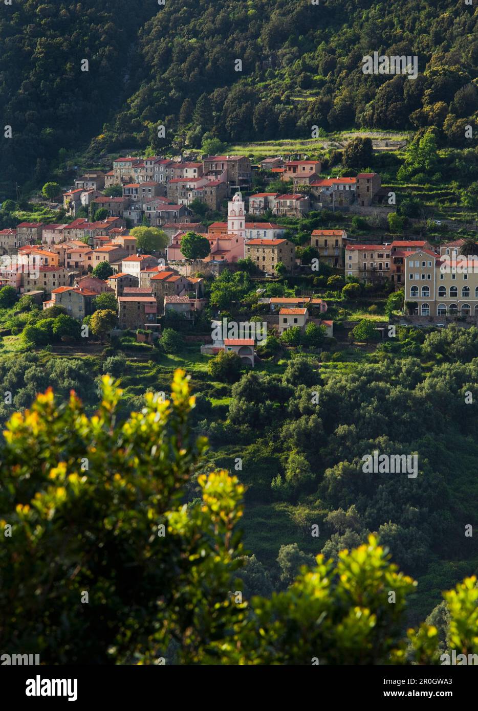 Vue de l'Ota, village de montagne, Porto, Corsika, France Banque D'Images