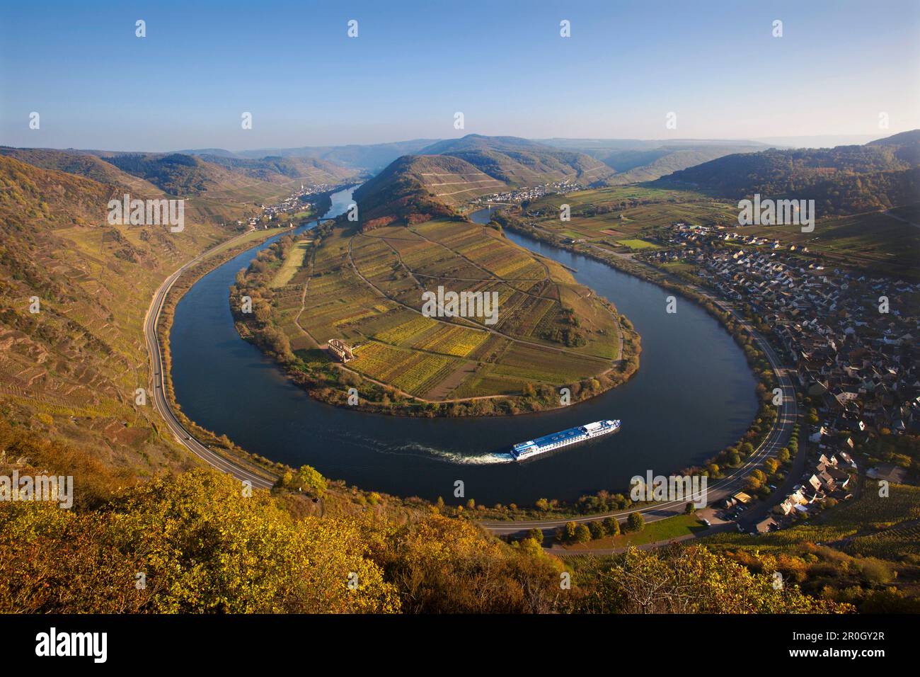 Vue du vignoble de Bremmer Calmont sur la sinuosité de la Moselle, Bremmm, Moselle, Rhénanie-Palatinat, Allemagne, Europe Banque D'Images