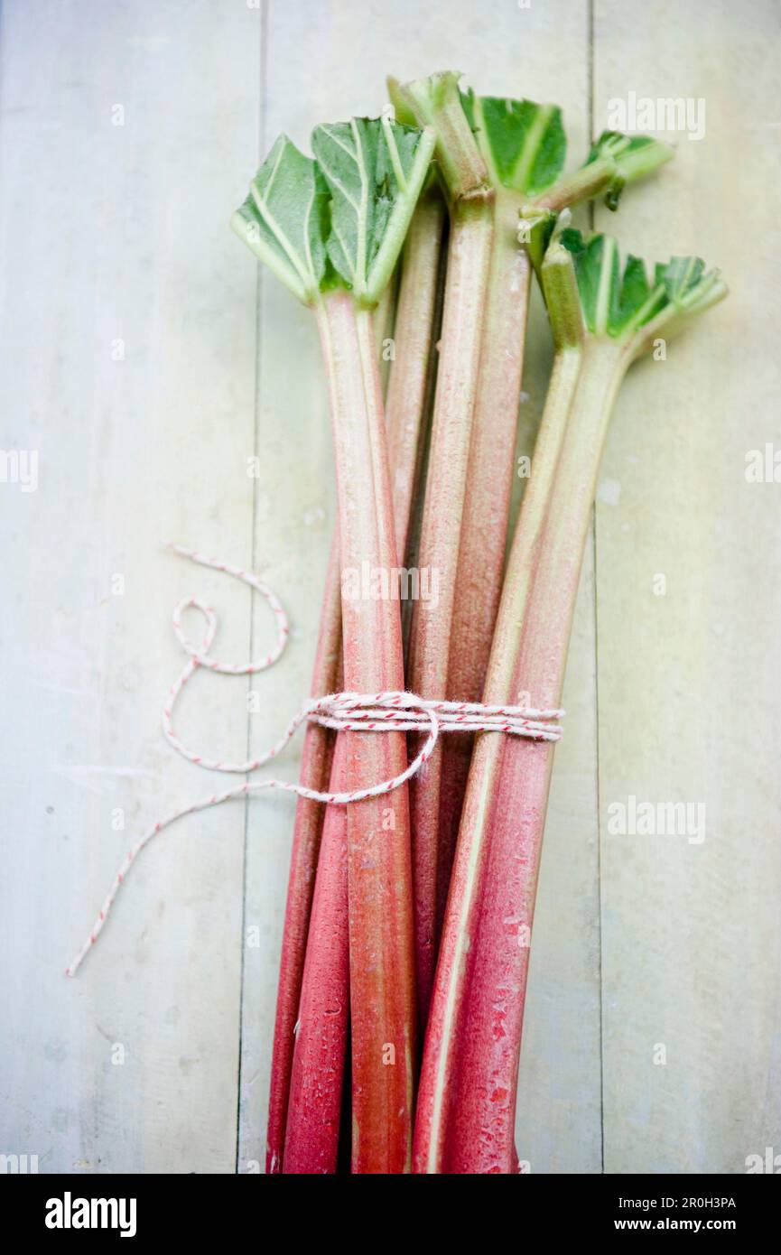 Bouquet de rhubarbe, maison, Bavière, Allemagne Banque D'Images