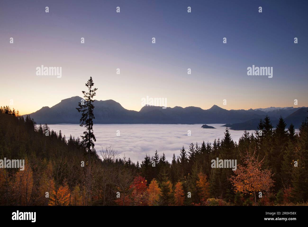 Vue sur le brouillard dans la vallée sur Hoher Goell et Hohes Brett, région de Berchtesgaden, Parc national de Berchtesgaden, haute-Bavière, Allemagne, Europe Banque D'Images