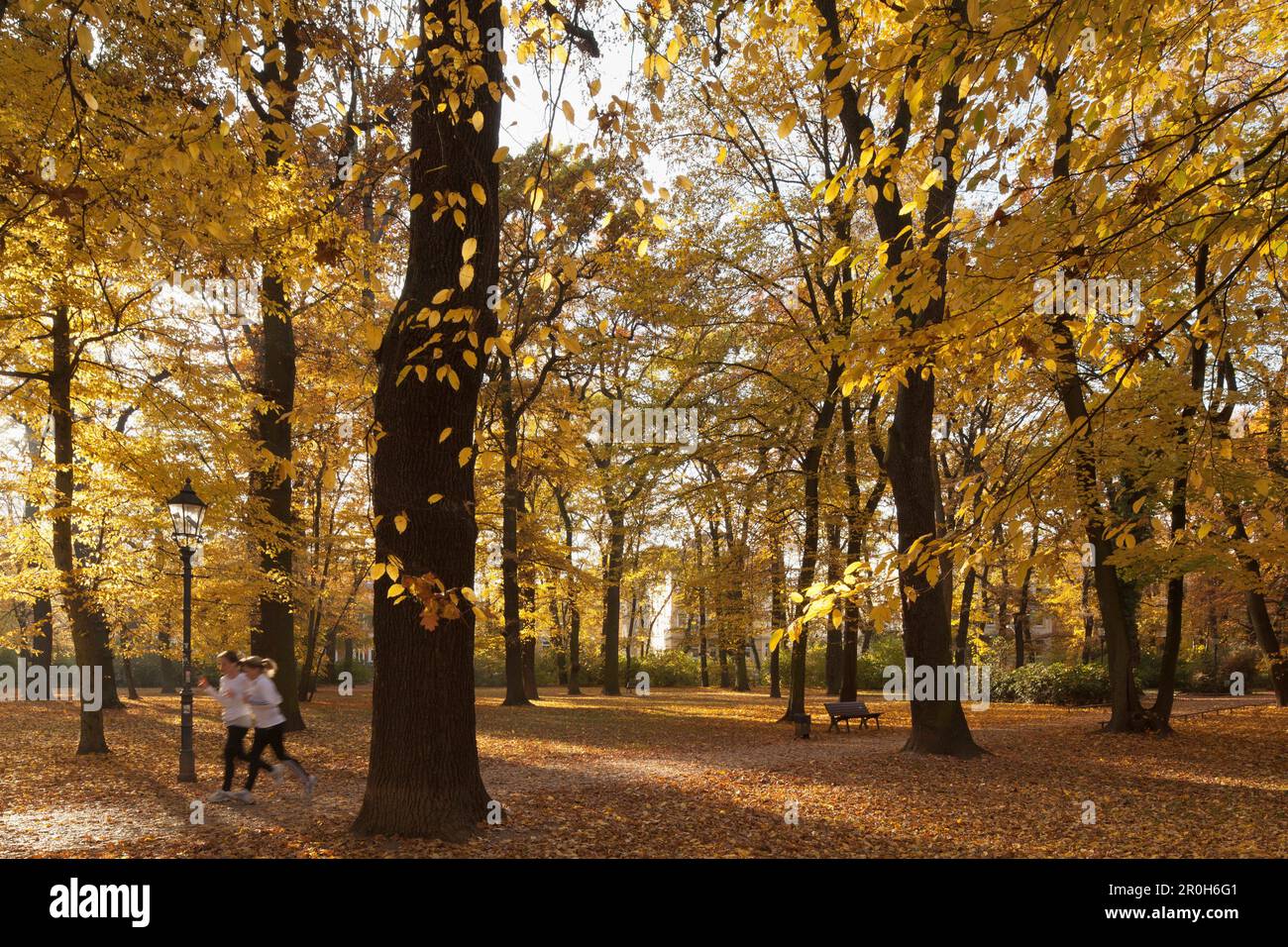 Deux joggeurs qui courent à Brunswick parc à travers les feuilles d'automne, Brunswick, Basse-Saxe, Allemagne Banque D'Images