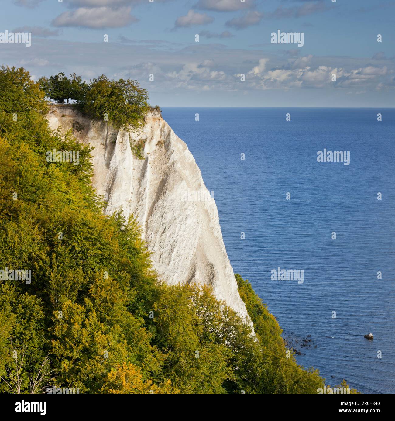 Koenigsstuhl, président du Roi, falaises de craie, le Parc National de Jasmund, Rügen, Mecklembourg-Poméranie-Occidentale, Allemagne Banque D'Images