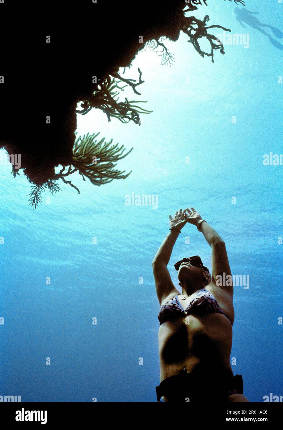 ÎLES CAÏMANS, Caraïbes, femme nage à la surface, Grand Cayman Banque D'Images