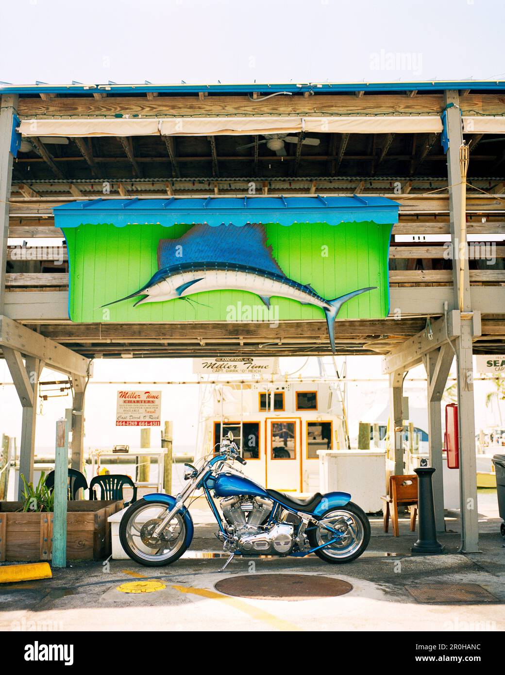 USA, Floride, moto et marlin à une marina de pêche, Islamorada Photo Stock  - Alamy