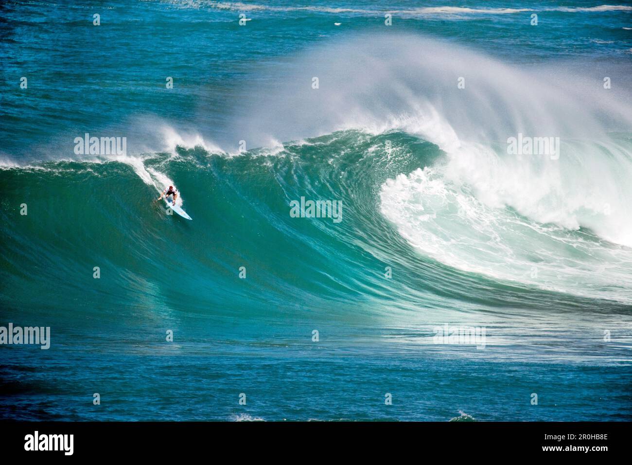 USA, Hawaii, surfeur de les faire tomber dans une grande vague sur la rive nord, Eddie Aikau surf compétition, Waimea Bay Banque D'Images