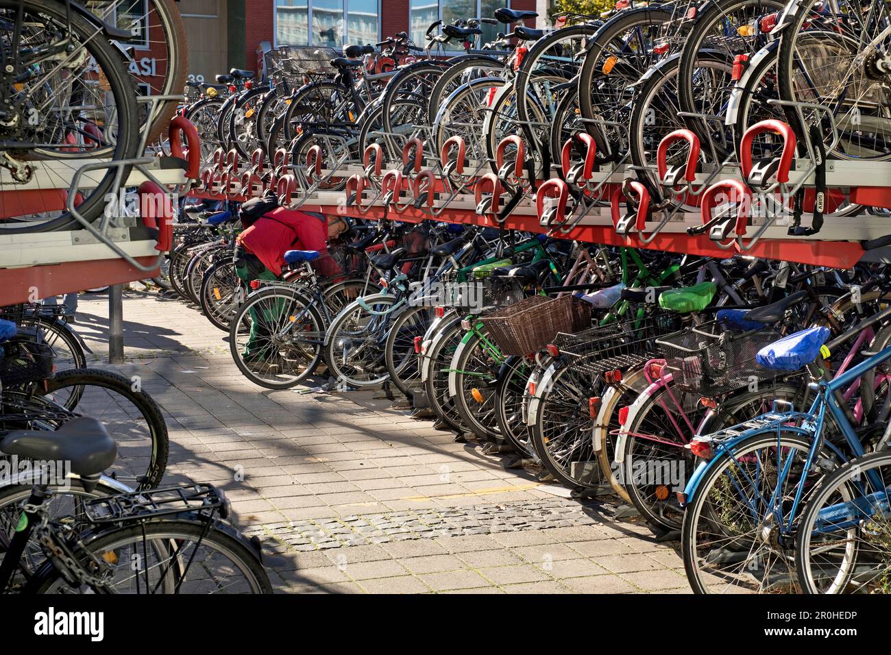 Beaucoup de vélos à la station de vélo à la gare principale, Allemagne, Rhénanie-du-Nord-Westphalie, Munster Banque D'Images