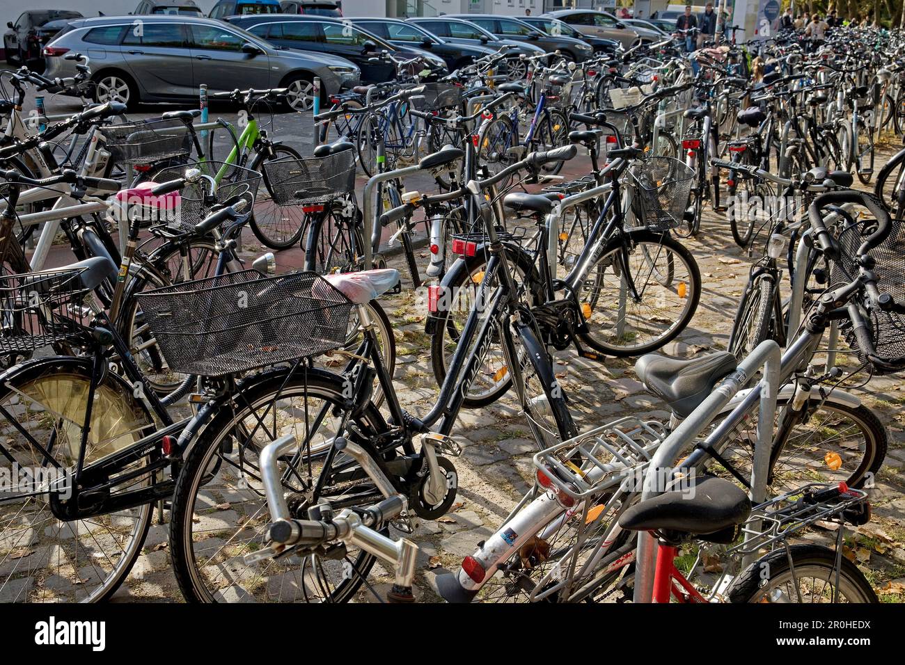 Beaucoup de vélos à mensa, Allemagne, Rhénanie-du-Nord-Westphalie, Munster Banque D'Images