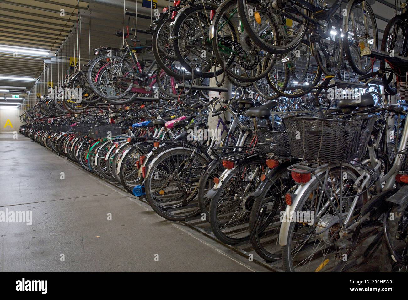 Beaucoup de vélos à la station de vélo à la gare principale, Allemagne, Rhénanie-du-Nord-Westphalie, Munster Banque D'Images