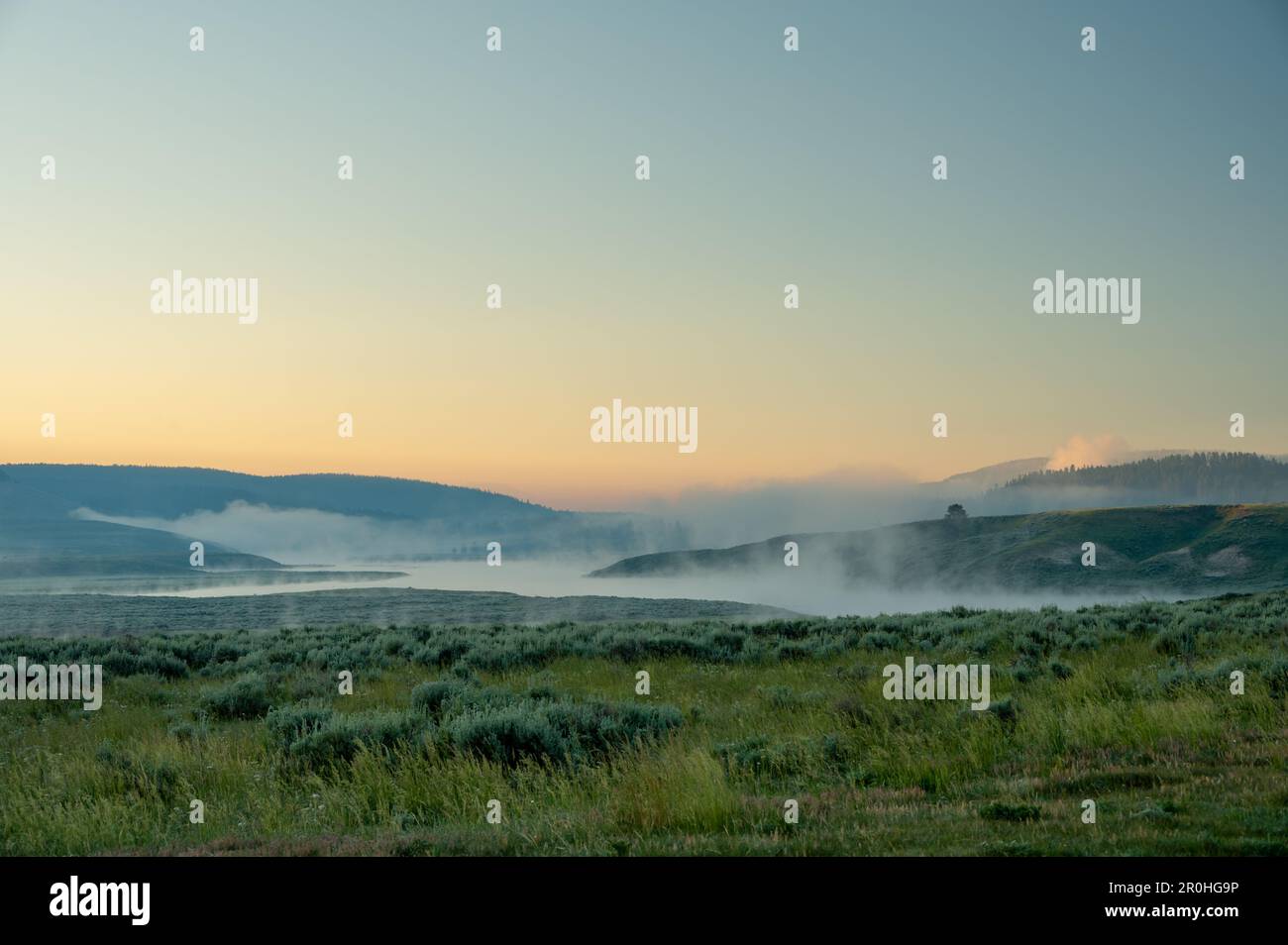 Du brouillard surplombe la rivière Yellowstone le matin d'une journée bien dégagée dans la vallée de Hayden Banque D'Images