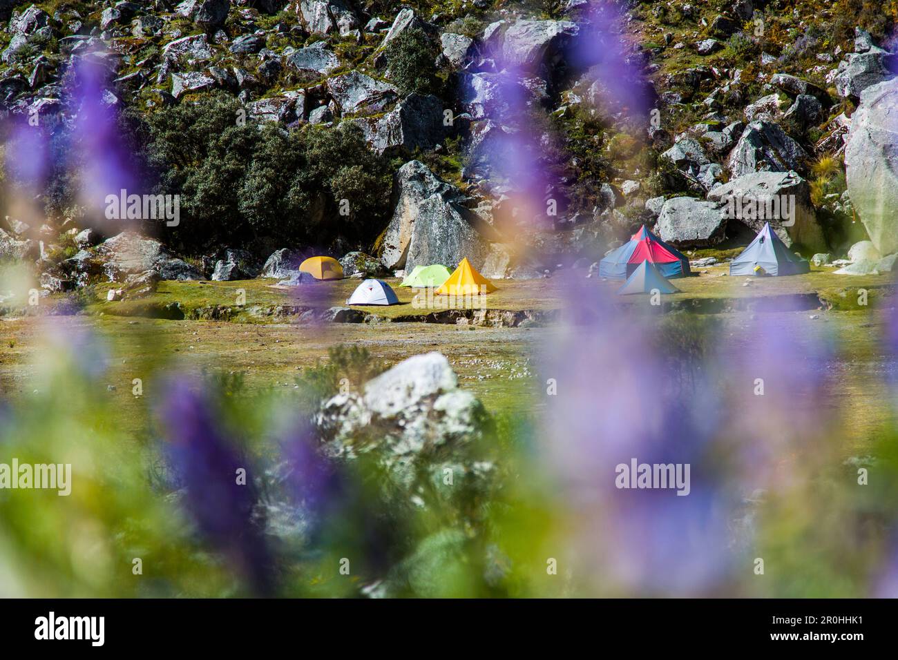 Tentes dans le camp de base de la vallée d'Ishinca, Pashpa, Huaraz, Ancash, Cordillera Blanca, Pérou Banque D'Images