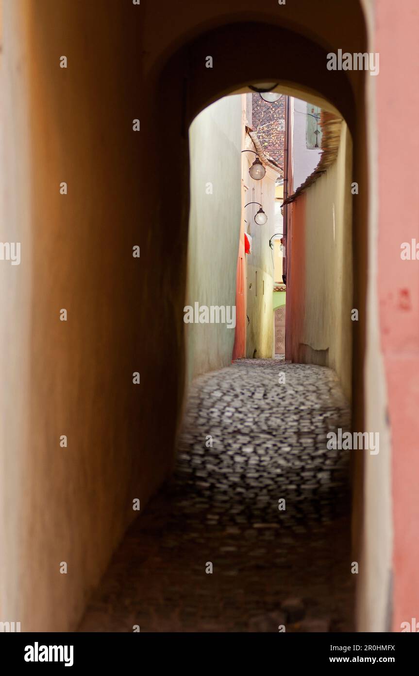 Ruelle dans le centre historique, Brasov, en Transylvanie, Roumanie Banque D'Images