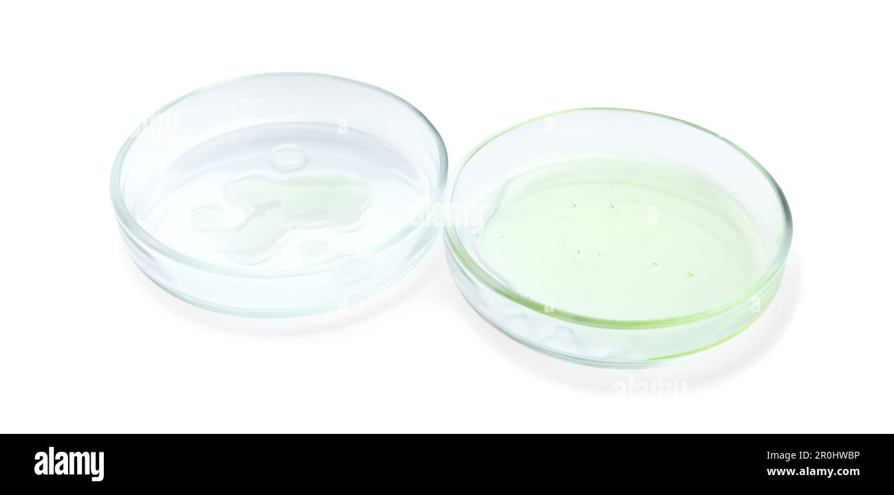 Boîtes de Petri avec différents liquides sur fond blanc Banque D'Images