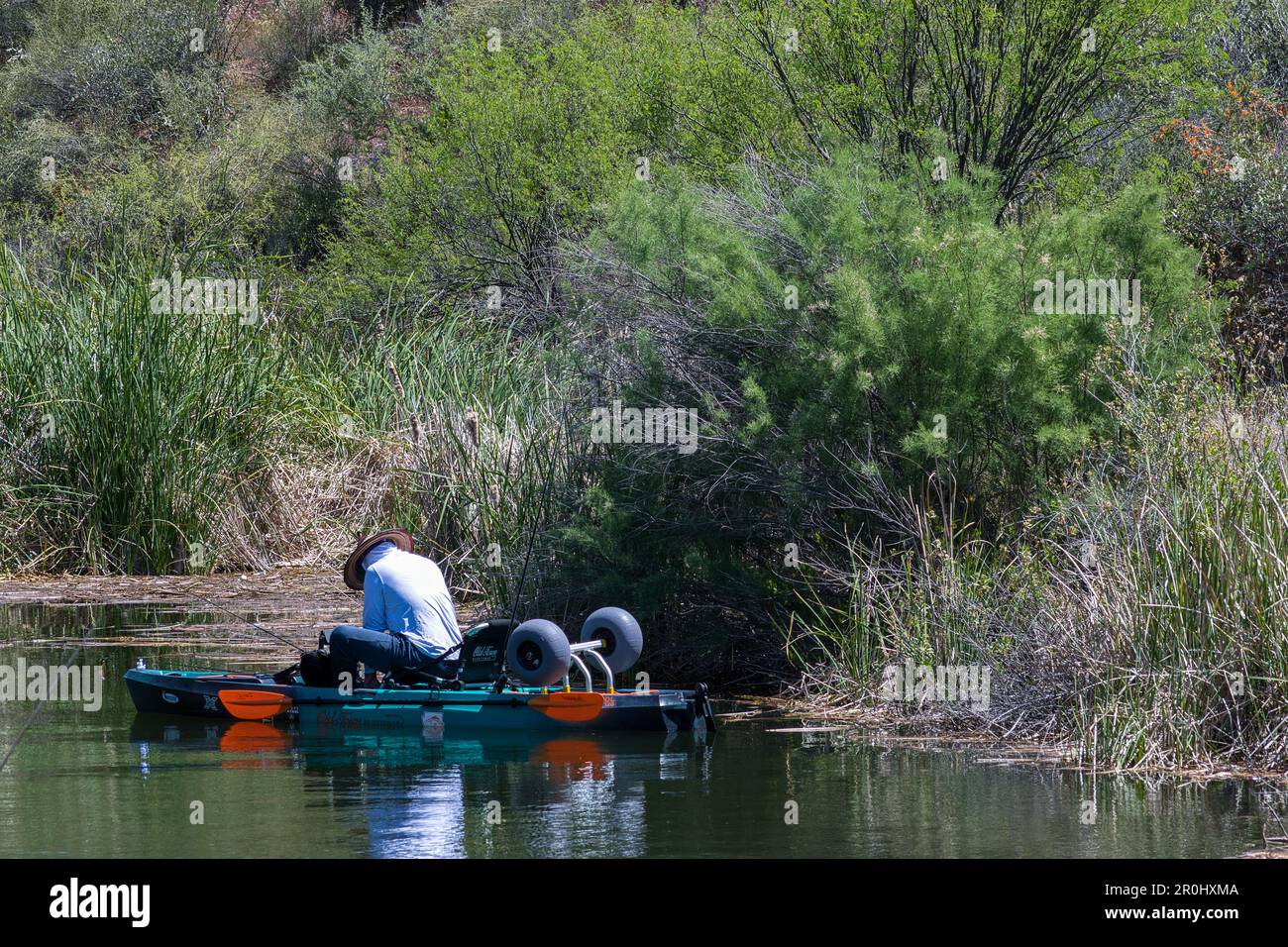 Un homme qui pêche dans un petit bateau le long du front de mer, entouré d'arbres imposants et de plantes de rivière luxuriantes qui grandissent au cours de la journée ensoleillée. Banque D'Images