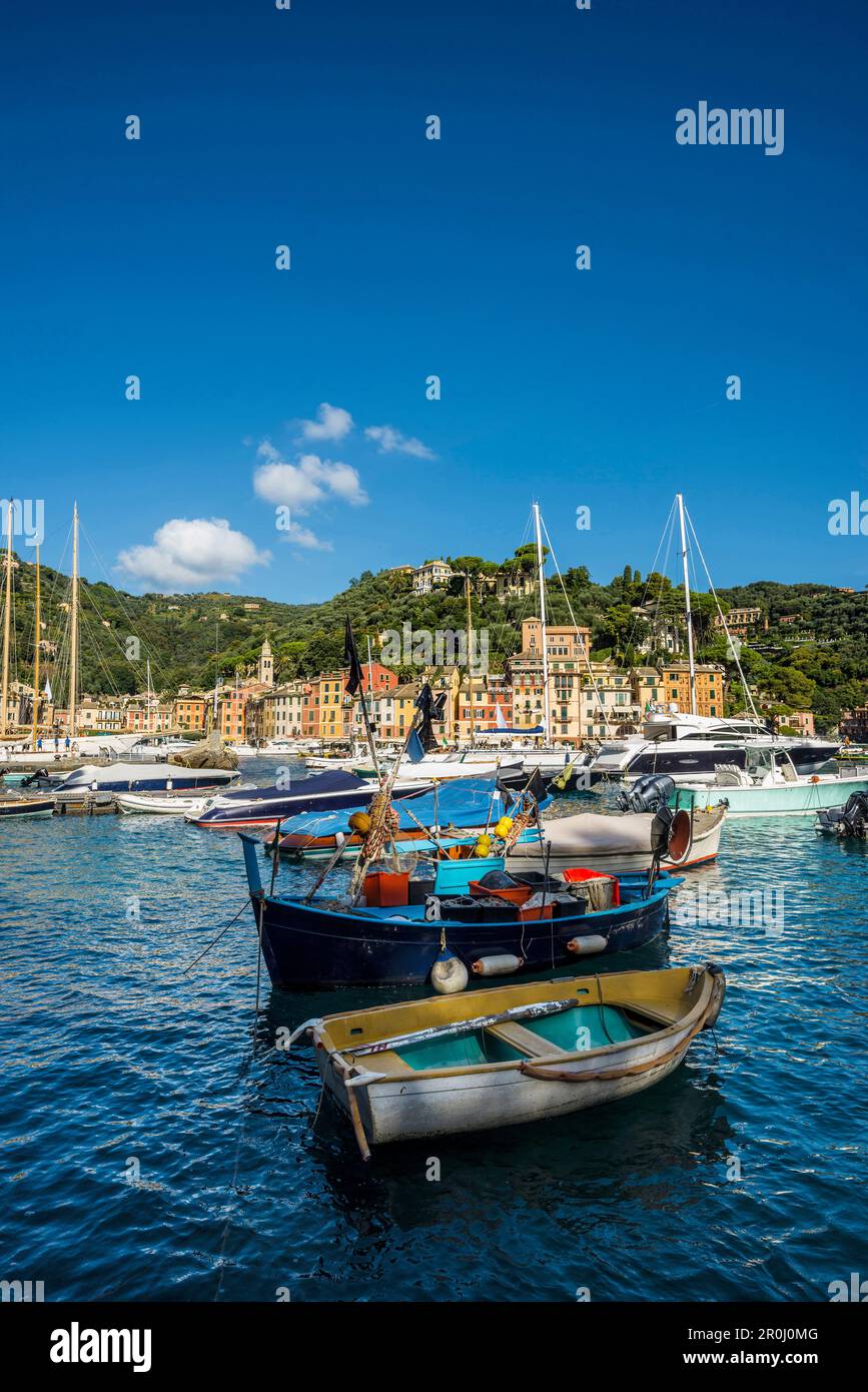 Bateaux de pêche dans le port, Portofino, province de Naples, Riviera Italienne, ligurie, italie Banque D'Images