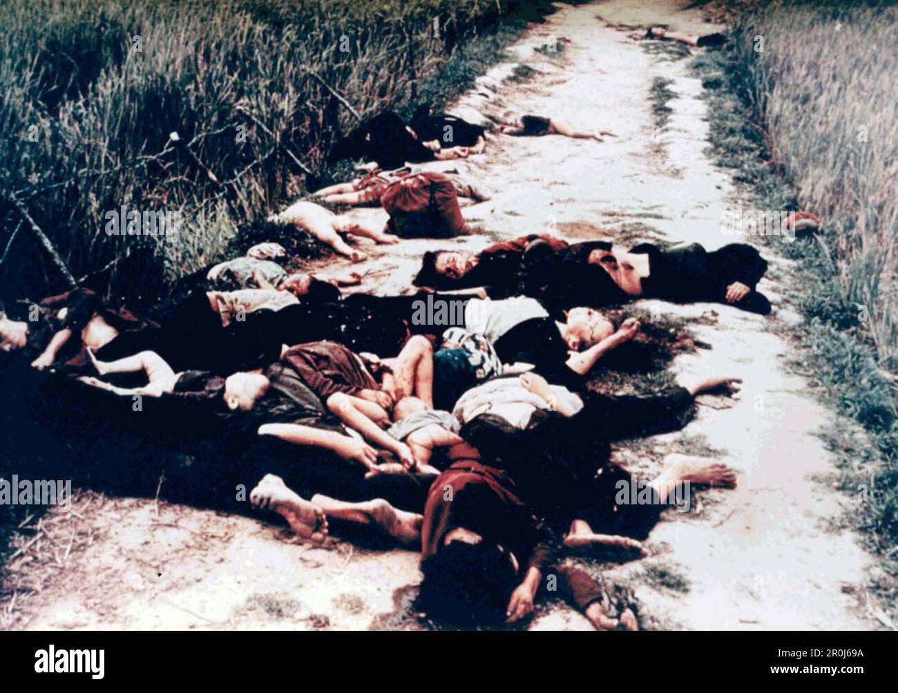 Des corps de civils couchés sur la route du village vietnamien de My Lai après environ 500 civils ont été massacrés par les troupes américaines pendant la guerre du Vietnam. Banque D'Images