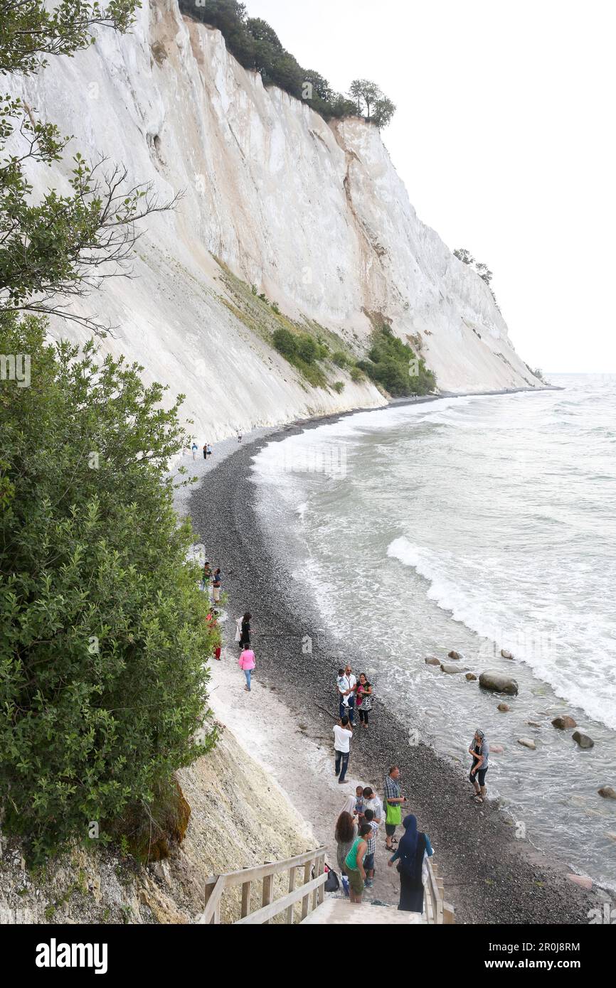Les touristes visitant des falaises de craie Mons Klint, Klintholm, Mon île, Danemark Banque D'Images