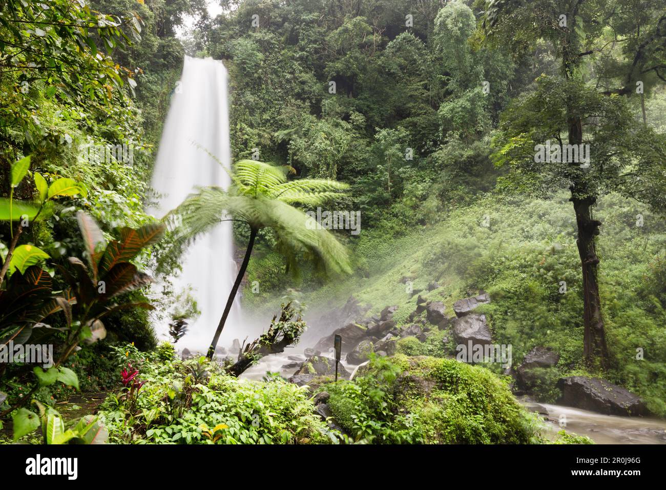 Cascade de Gitgit, Git Git, Sukasada, Bali, Indonésie Banque D'Images