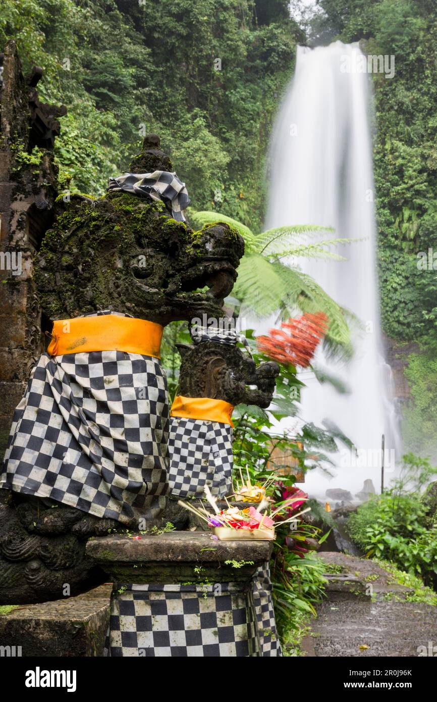 Temple près de Git Git, cascade, Gitgit Sukasada, Bali, Indonésie Banque D'Images