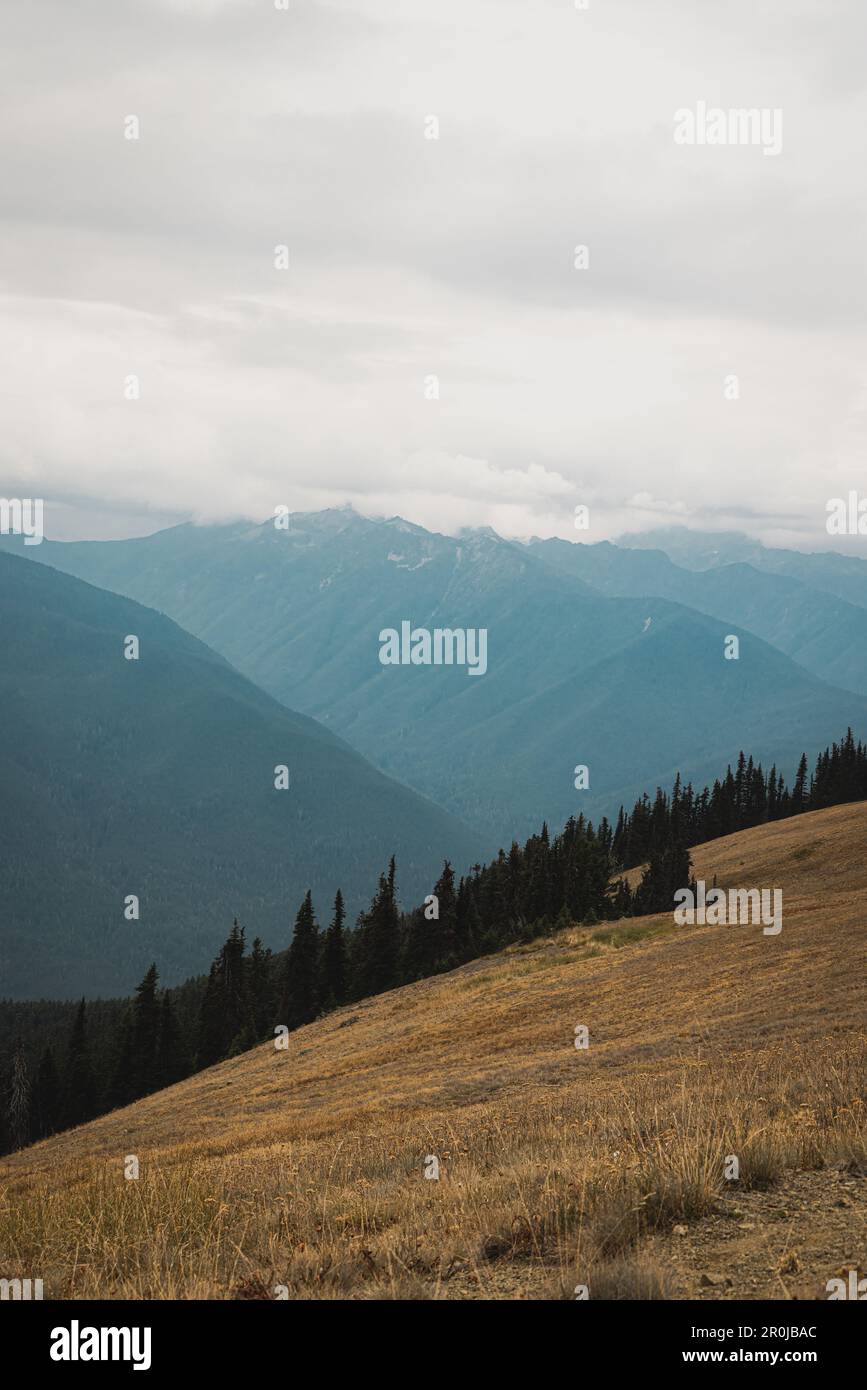 Les couches de montagne de crête bleue avec des nuages à distance et des arbres sur des collines et des prairies en premier plan dans le parc national olympique Hurricane Ridge à Wash Banque D'Images