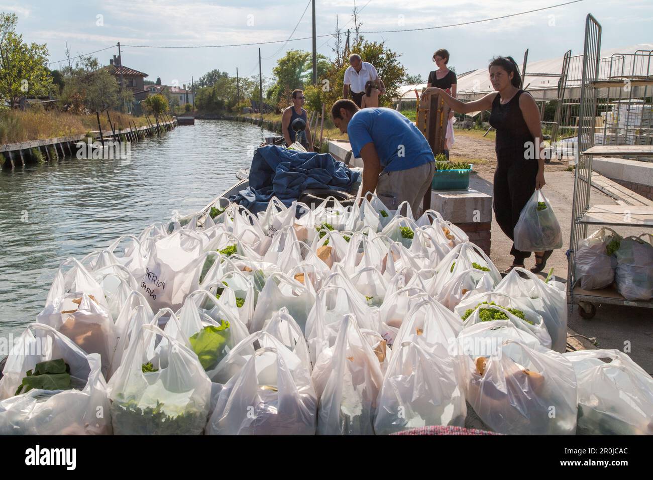 Commandes de légumes de l'île Sant'Erasme, les sacs en plastique sont  chargés pour livraison par bateau, Venise, lagune, Italie Photo Stock -  Alamy