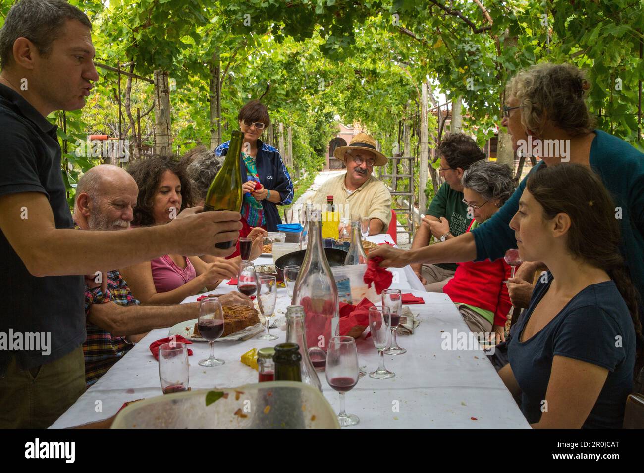 Flavio Francheschet, président de Lagune nel bicchiere, lagune dans un verre, récolte du vin, recultivant un petit vignoble surcultivé au monastère de San Banque D'Images