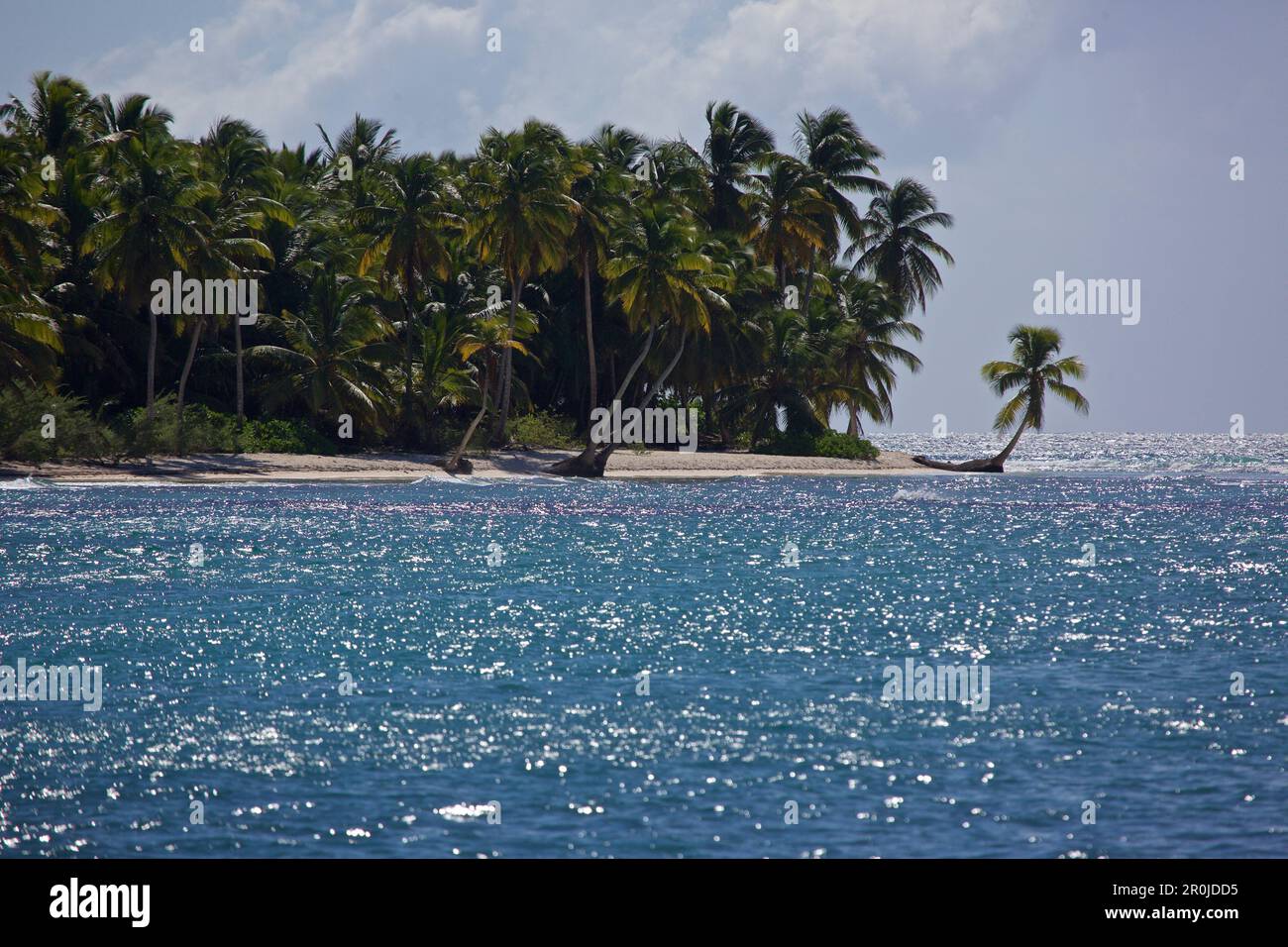 Vue sur une plage de palmiers, Isla Saona, la Altagracia, République Dominicaine Banque D'Images