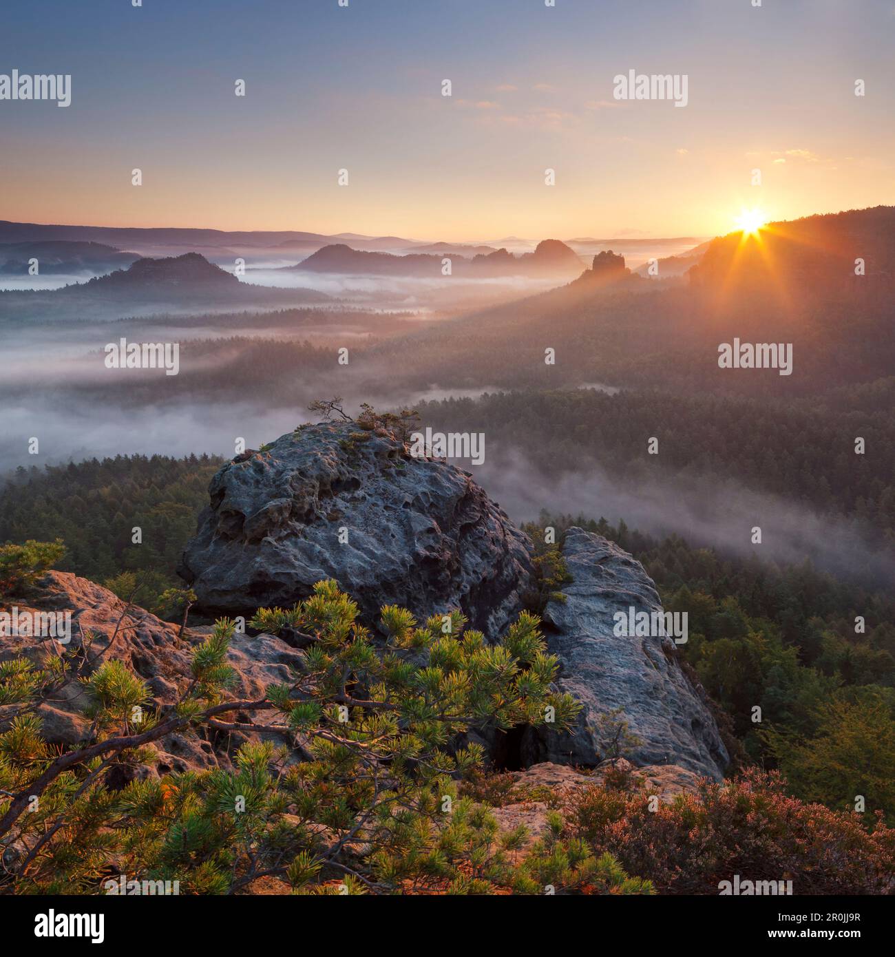 Vue de Gleitmannshorn sur le petit Zschand avec brouillard au lever du soleil avec rochers en premier plan, Kleiner Winterberg, Parc National Saxon Suisse, Sax Banque D'Images