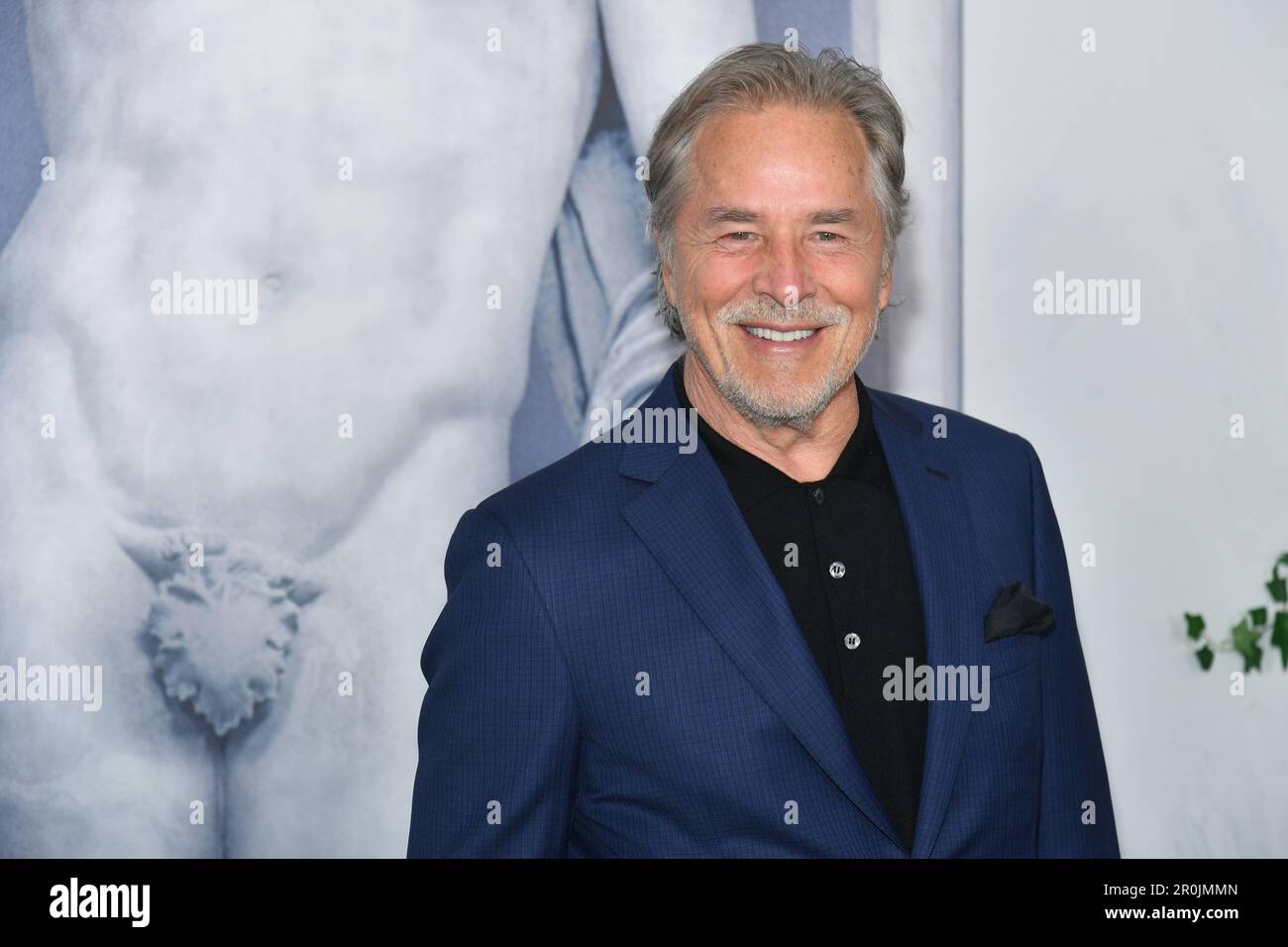 Don Johnson Banque D'Images