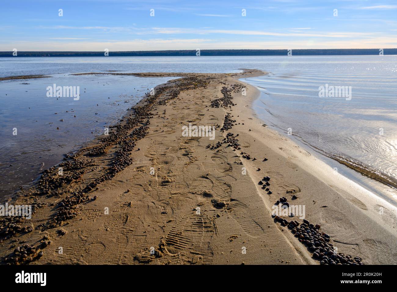 Une crache de sable qui pénètre dans la rivière, avec des traces de personnes et un grand nombre de coquillages, au coucher du soleil Banque D'Images