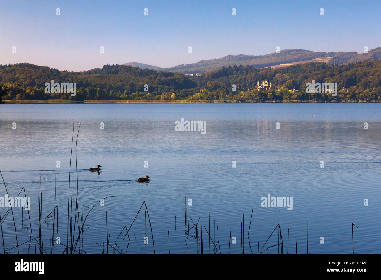 Vue sur Laacher Voir à Maria Laach, monastère, Eifel, Rhénanie-Palatinat, Allemagne Banque D'Images