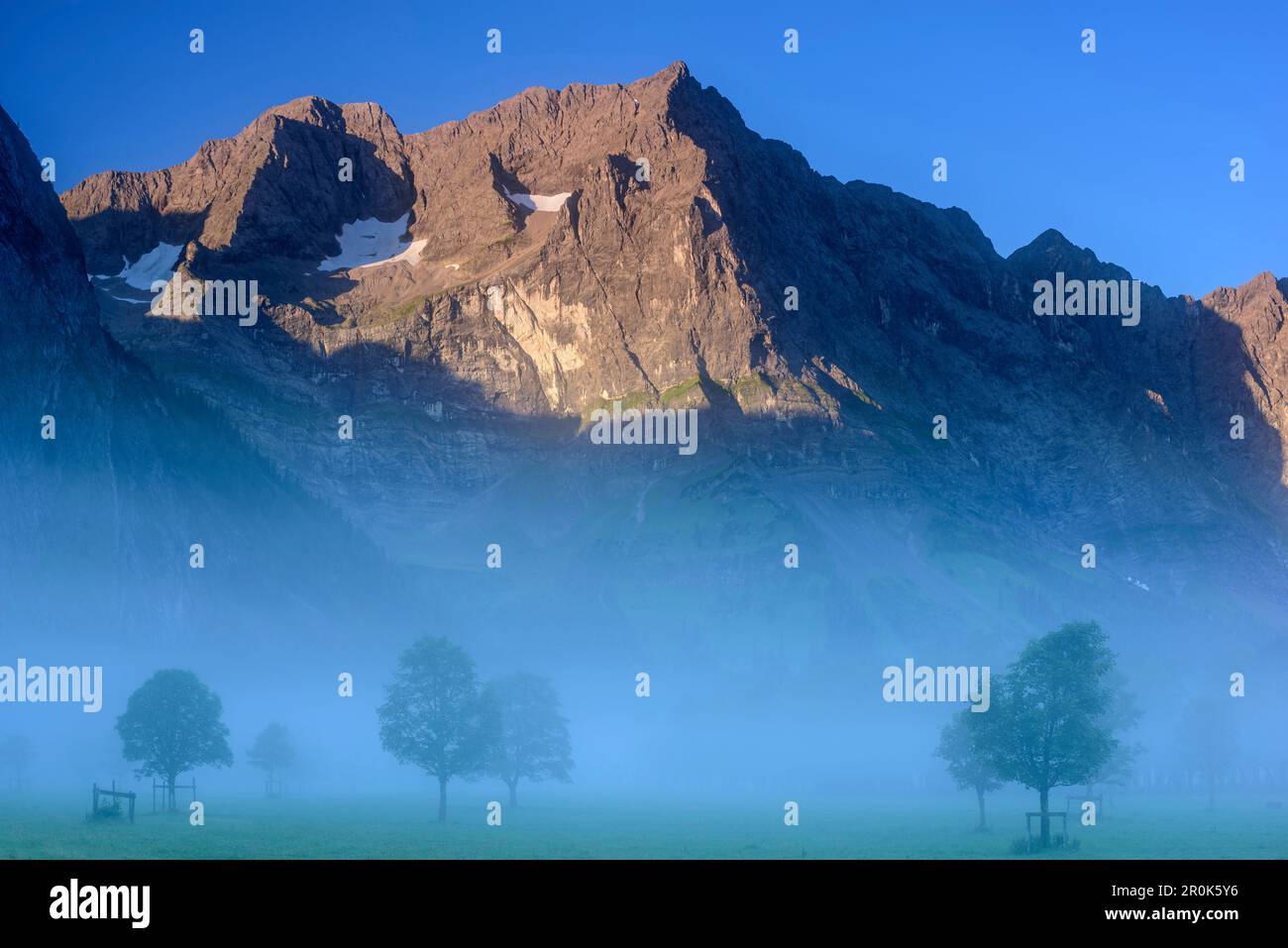Érable en brouillard devant Spitzkarspitze, Grosser Ahornboden, Eng, Parc naturel Karwendel, chaîne Karwendel, Tyrol, Autriche Banque D'Images
