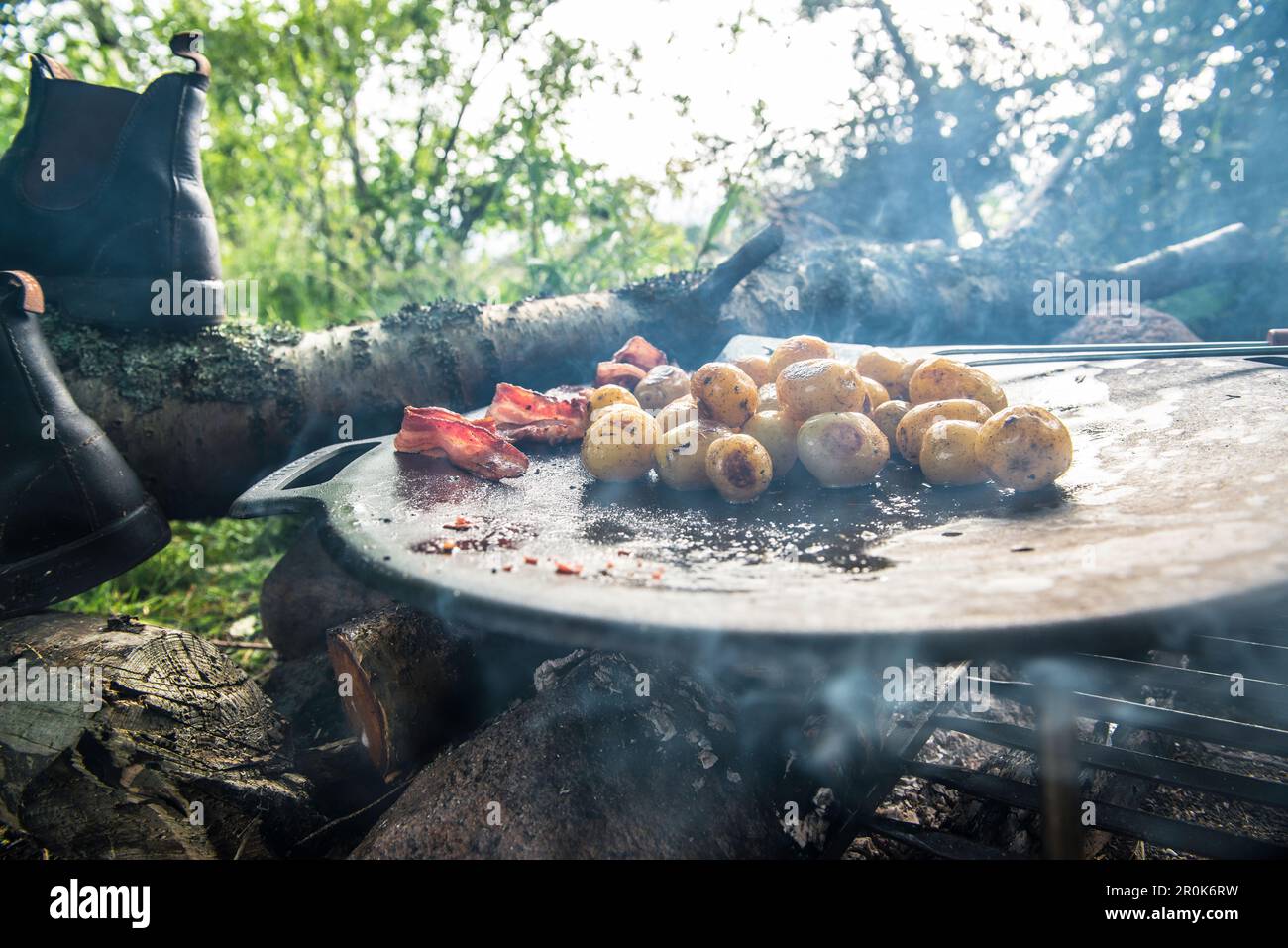 Gros plan d'une poêle sur un feu de camp avec du bacon et des pommes de terre rôtis, lac Vanern, Vastergotland, Suède Banque D'Images