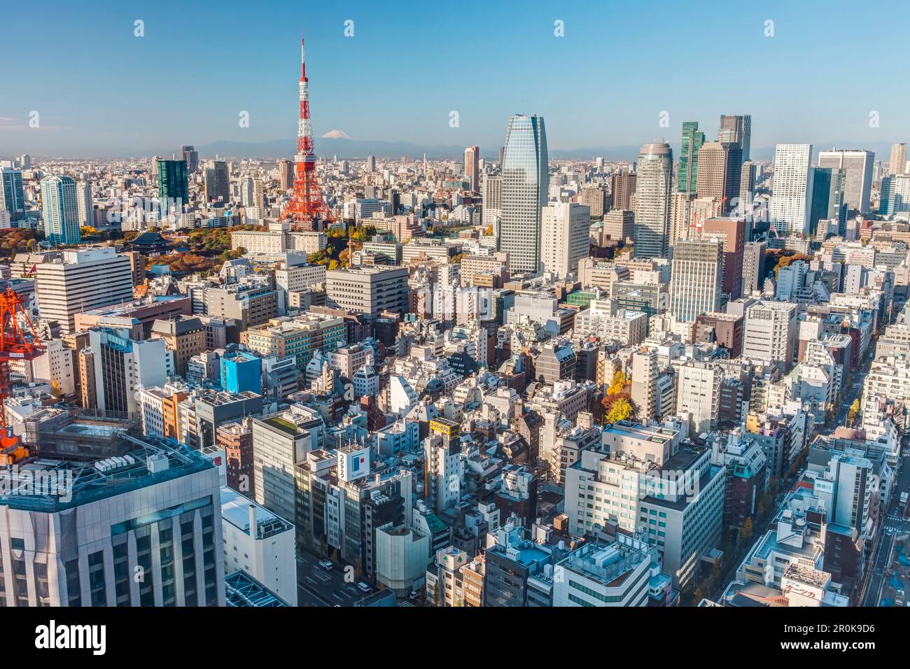 Tour de Tokyo avec Fuji-san en début de matinée en automne, Minato-ku, Tokyo, Japon Banque D'Images