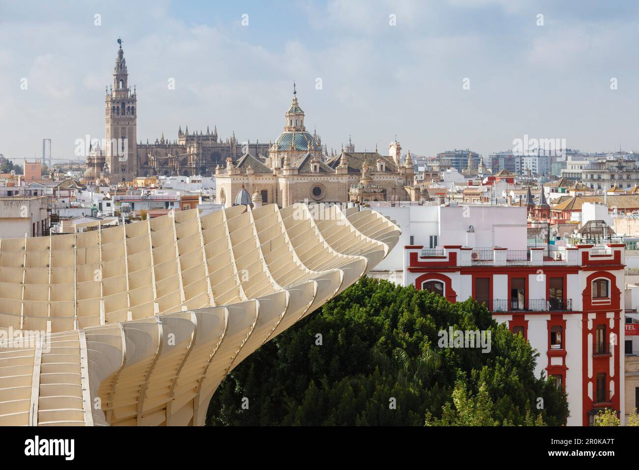 Metropol parasol, plate-forme d'observation, Plaza de la Encarnacion, architecture moderne, architecte Juergen Mayer Hermann, vue sur la vieille ville avec la cathe Banque D'Images