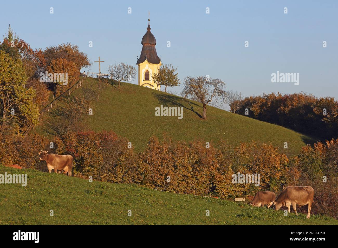 Jour d'automne à Pfronten avec St. Église de Nikolaus, Allgaeu de l'est, Allgaeu, Souabe, Bavière, Allemagne Banque D'Images