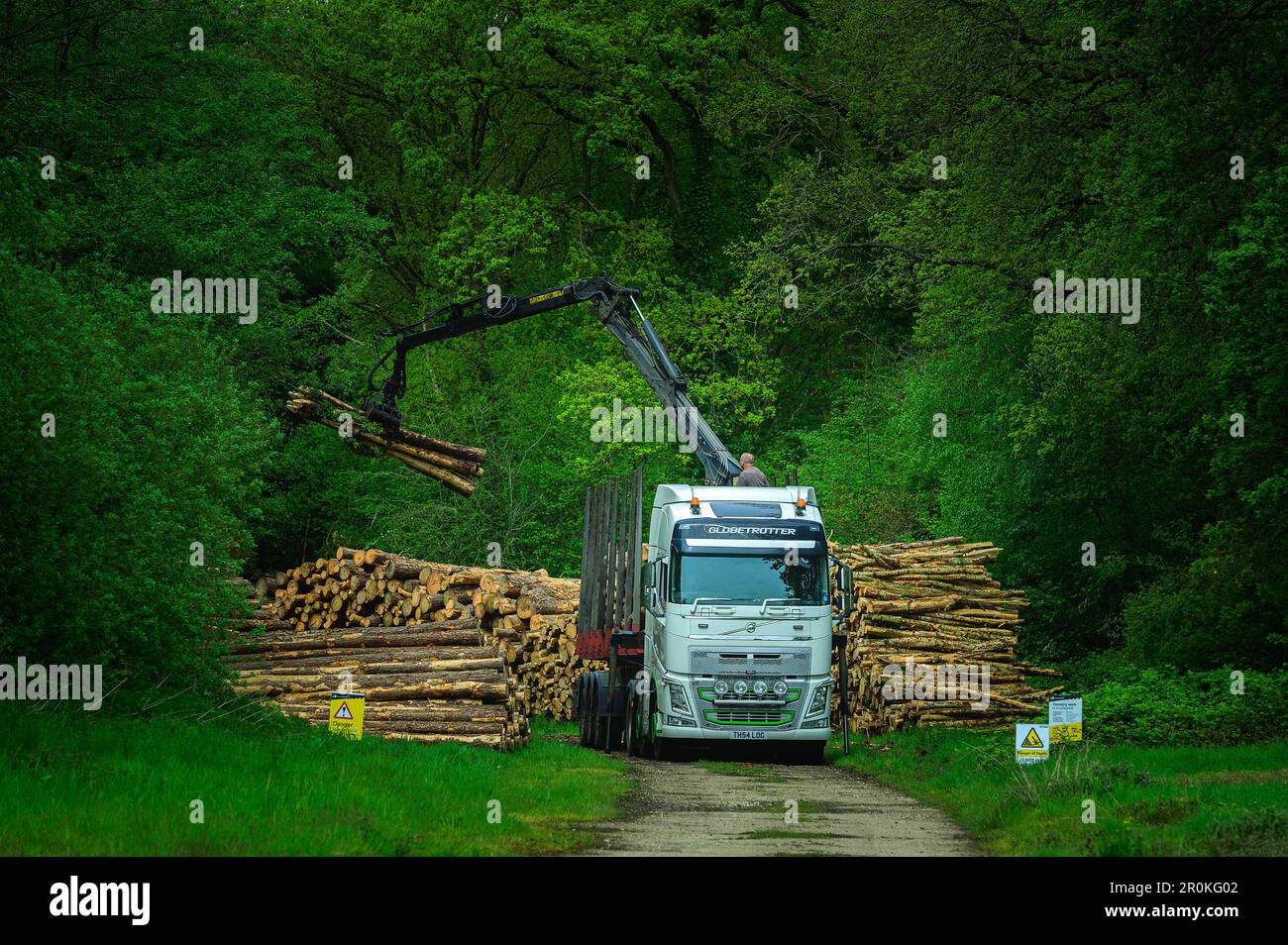 La collection d'arbres abattus avec HGV et cheveux, Little Snoring, North Norfolk uk. Banque D'Images