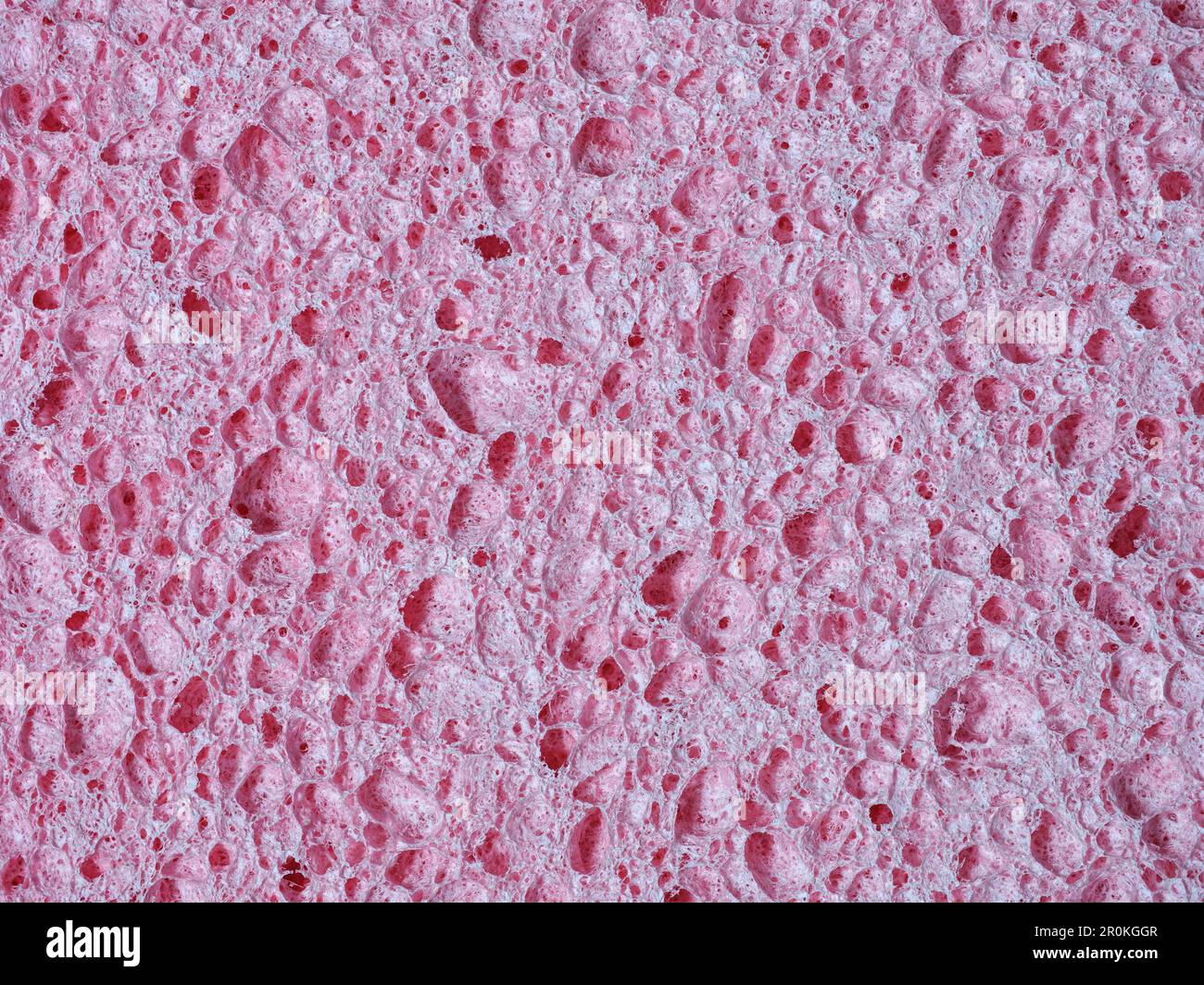 Éponge de lavage rose, texture détaillée de l'éponge poreuse Banque D'Images