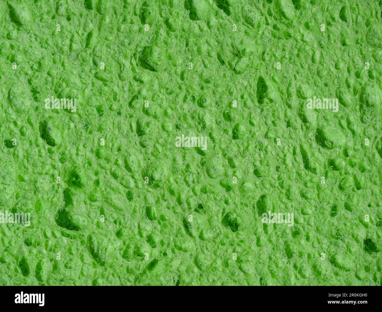 Éponge de lavage verte, texture de l'éponge poreuse gros plan Banque D'Images