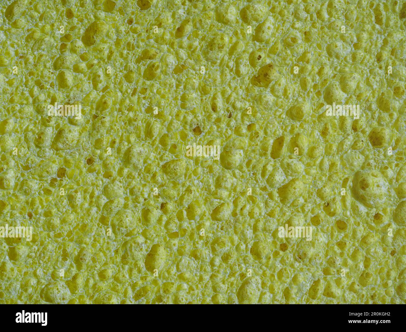 Éponge de lavage jaune, texture de l'éponge poreuse gros plan Banque D'Images