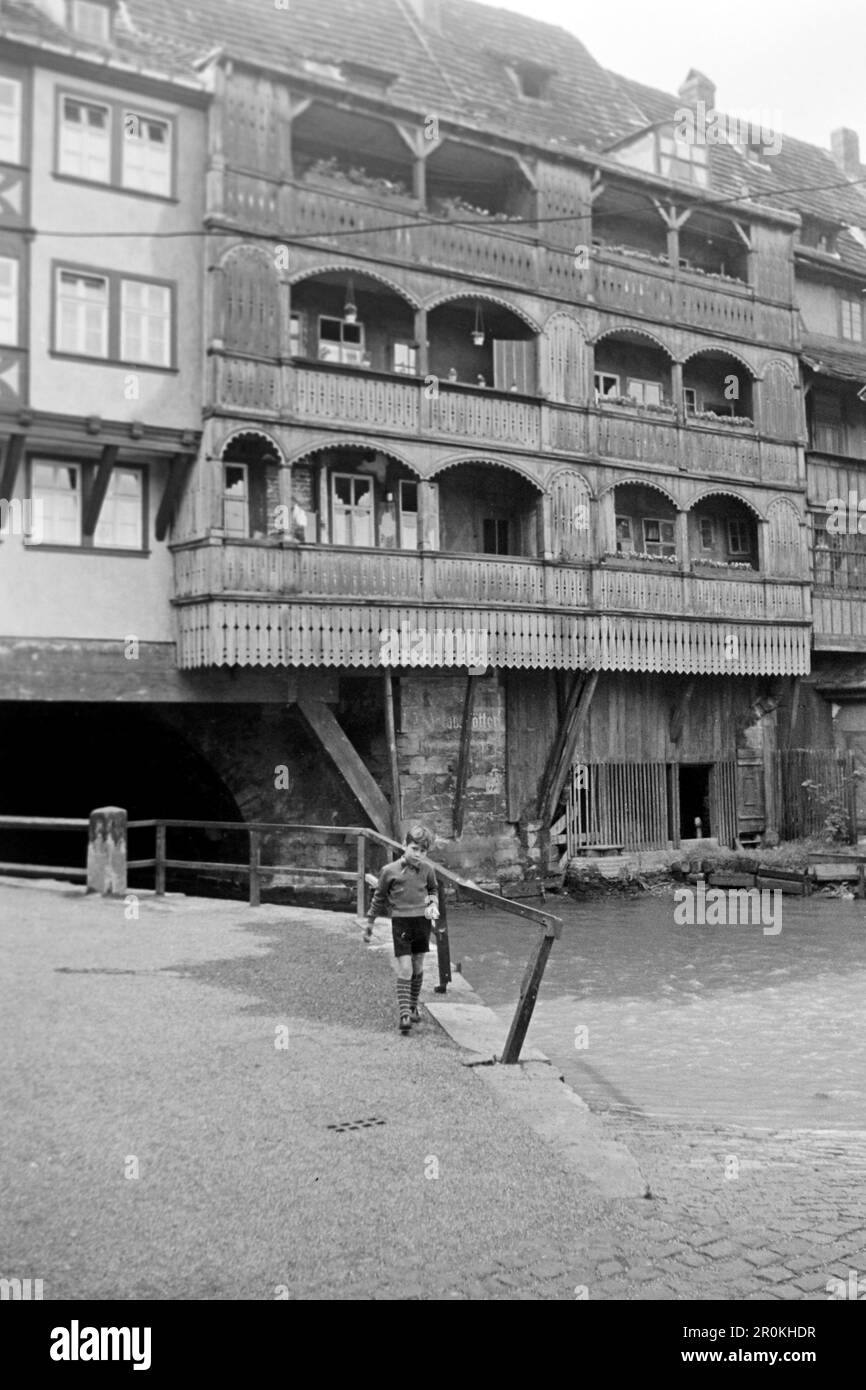 Wohnhäuser auf der Krämerbrücke in Erfurt, 1956. Bâtiments résidentiels sur Krämerbrücke à Erfurt, 1956. Banque D'Images