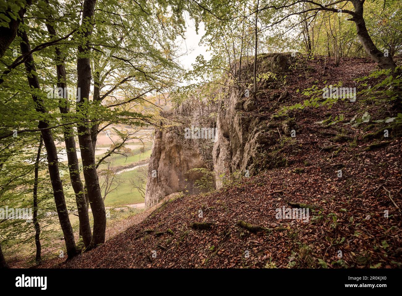 Patrimoine mondial de l'UNESCO Grottes de l'âge glaciaire de l'Alb souabe, „Hohler Fels“ Cave (où „Venzs vom Hohlen Fels“ a été trouvé), Vallée d'Aach, Bade-Wuerttemberg, Banque D'Images