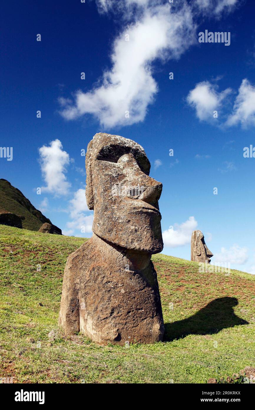 L'île de Pâques, CHILI, Isla de Pascua, Rapa Nui, Rano Raraku est un cratère volcanique sur les pentes inférieures de Terevaka, elle a fourni près de 95  % de l'île Banque D'Images