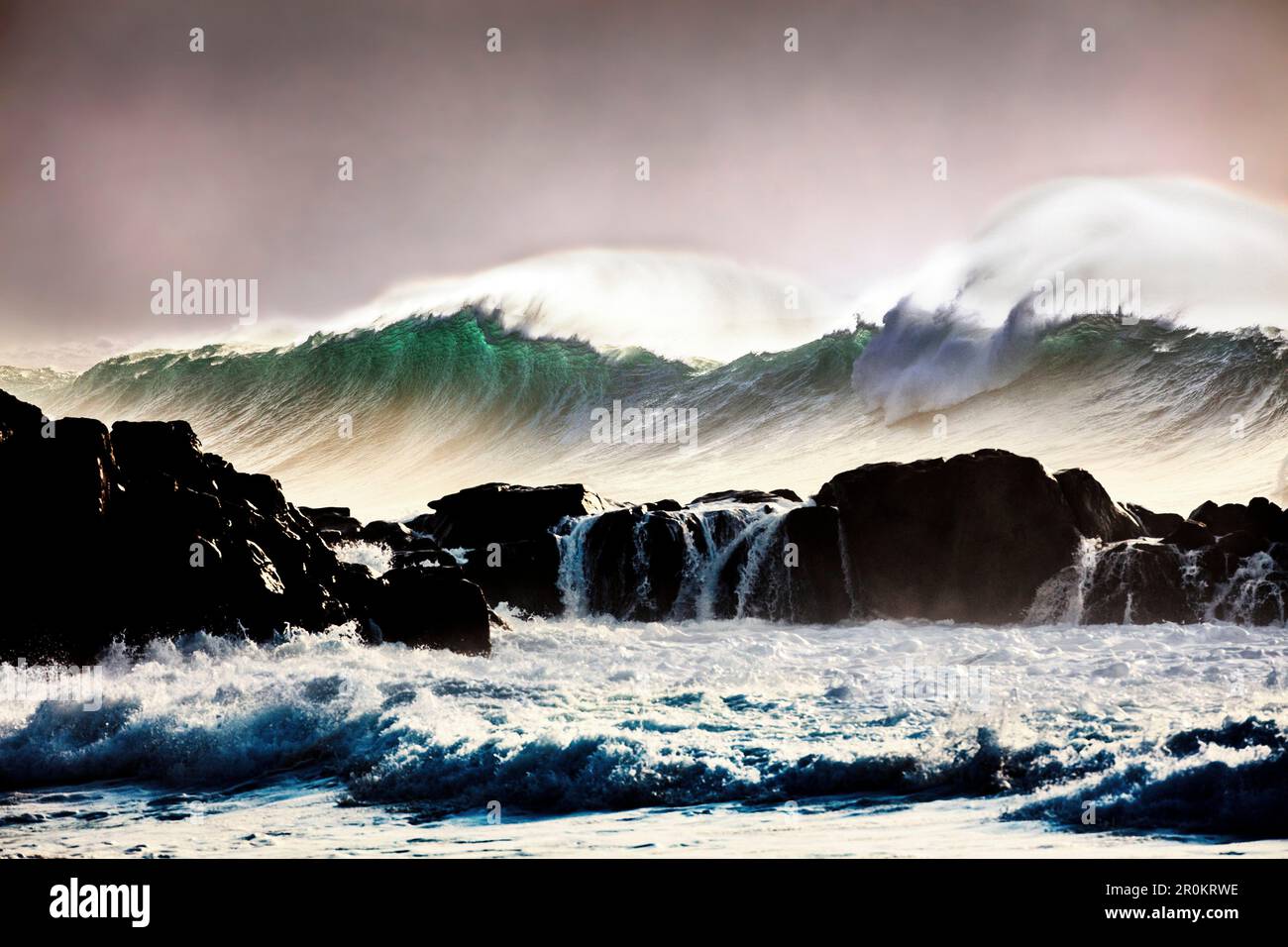 HAWAÏ, Oahu, North Shore, Eddie Aikau, 2016, Vagues d'une grande houle vue s'écrasant dans la baie de Waimea, baie de Waimea Banque D'Images