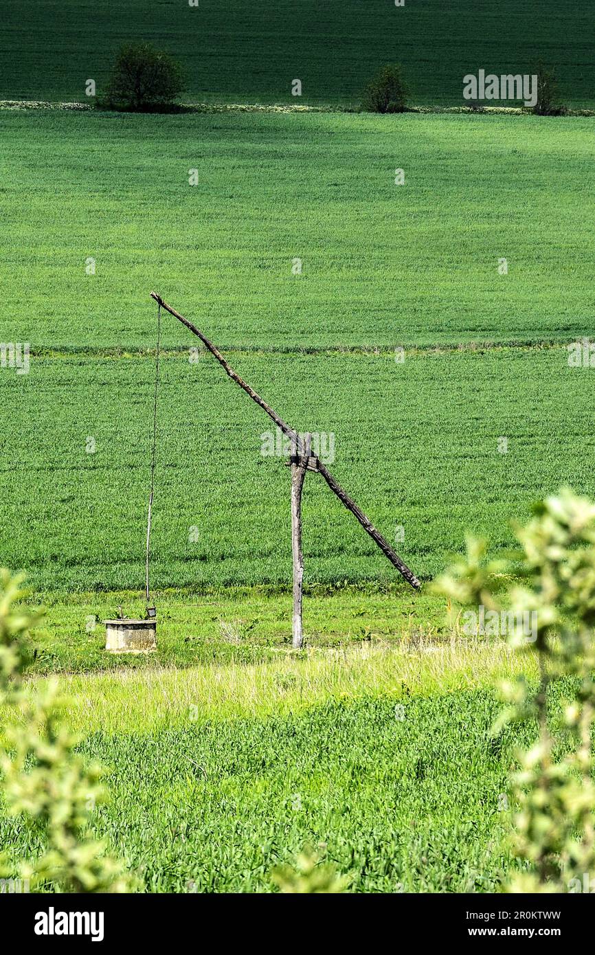 Ancien bien situé près de la route du champ. Une ancienne façon d'extraire l'eau. Entouré de champs verts. Mise au point sélective. Copier l'espace. Banque D'Images